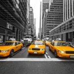 5 Fun Fall Activities To Do In New York City