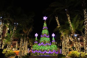 GulfstreamPark_Symphony of Lights 2017