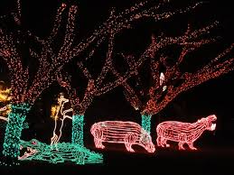 Miami Vacation Zoo Lights 2017