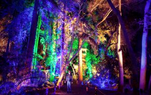 santa's enchanted forest Tropical park 2017
