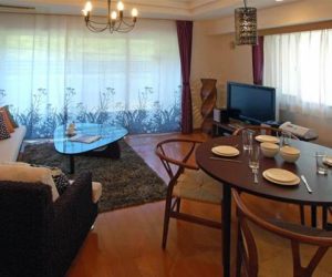 Tokyo Apartments Aoyama by Globe Quarters 8ef8a